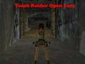 Joc Tomb Raider Open Lara on-line