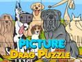 Joc Picz -ul de tragere a imaginii on-line