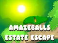 Joc Evadarea moșiei Amazeballs on-line