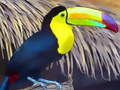 Joc Tucan Bird Jigsaw  on-line