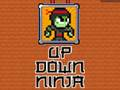 Joc Sus în jos Ninja  on-line