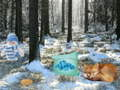Joc Winter Wonderland Forest Adventure on-line