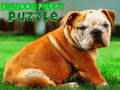 Joc Puzzle Bulldog Puppy on-line
