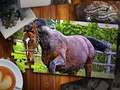 Joc Ediția Jigsaw Puzzle Horses  on-line