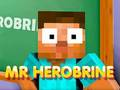 Joc Domnule Herobrine  on-line