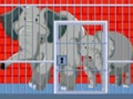 Joc Salvarea mamei și a puiului de elefant  on-line