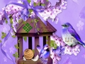 Joc Minunată evadare pe uscat pasăre colibri  on-line