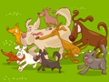 Joc Obiect ascuns  on-line