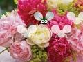 Joc Wallpaper Pretty Blossom Escape  on-line