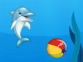 Joc Spectacol de delfini  on-line