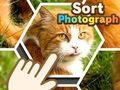 Joc Sortare fotografie  on-line