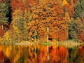 Joc Puzzle glisant  on-line