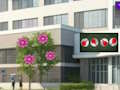 Joc Evadare din spital  on-line