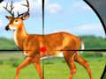 Joc Wild Hunting Games 3D  on-line