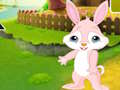 Joc Găsiți Buddy Rabbit  on-line