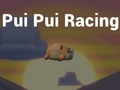 Joc Pui Pui Racing on-line
