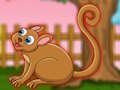 Joc Dragul Tarsier Evadare  on-line