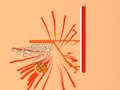 Joc Minge de baschet  on-line