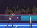 Joc Cerceta de badminton  on-line