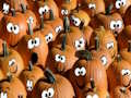 Joc Jigsaw de Halloween on-line
