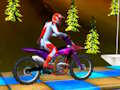 Joc Casdorii cu bicicleta  on-line