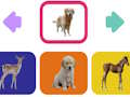 Joc Pui de animale  on-line