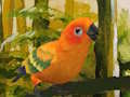 Joc Puzzle drăguț cu Budgie  on-line