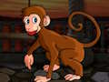 Joc Evadare diminuată de Macaque  on-line
