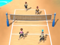 Joc Volei pe plajă 3D  on-line