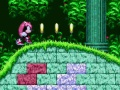 Joc Mighty and Ray în Sonic 2 on-line
