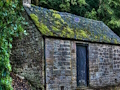 Joc Corb alb prins prin evadare  on-line