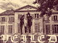Joc Voalat  on-line