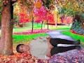 Joc Salvați un tip rănit  on-line