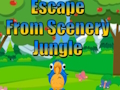 Joc Evadare din Scenery Jungle  on-line