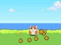 Joc Clicker Hamster Kombat on-line