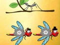 Joc Găsiți Dragonfly Cooper  on-line