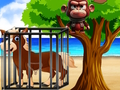 Joc Lupta pe litoral  on-line