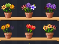 Joc Bun maestru de flori  on-line