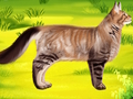 Joc Pisica Pet Doctor Dentist  on-line
