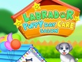 Joc Salon de îngrijire a cățelușului Labrador  on-line