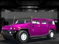 Joc Wild Race Master 3D on-line