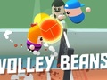 Joc Volley Fasole  on-line