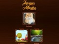 Joc Maestru de Jigsaw  on-line