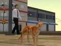 Joc Simulator Cat City on-line