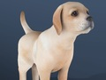 Joc Animal de companie IDLE  on-line