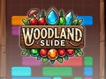 Joc Toboganul Woodland  on-line