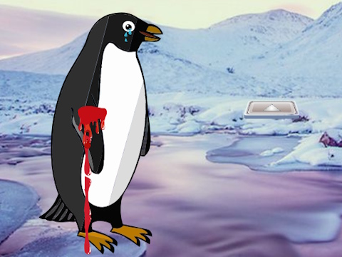 Joc Vindecă pinguinul rănit  on-line
