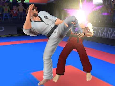 Joc Luptător de karate  on-line