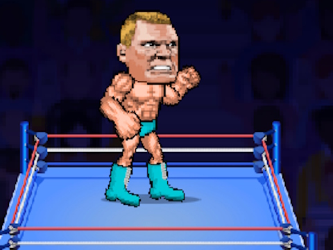 Joc Wrestle Bros  on-line