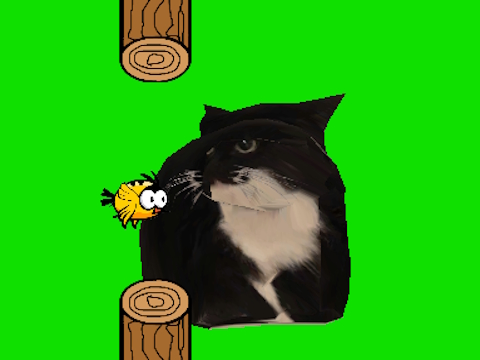 Joc Flappy Bird care se învârte oia oia pisică  on-line